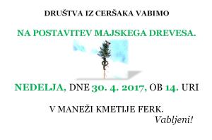 POSTAVITEV MAJSKEGA DREVESA V CERŠAKU